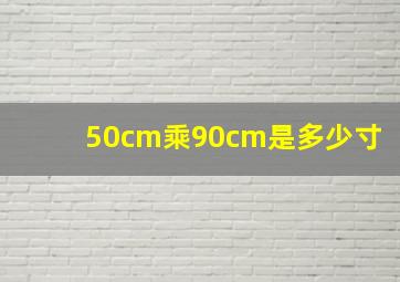 50cm乘90cm是多少寸