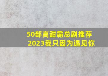 50部高甜霸总剧推荐2023我只因为遇见你