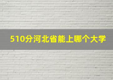 510分河北省能上哪个大学