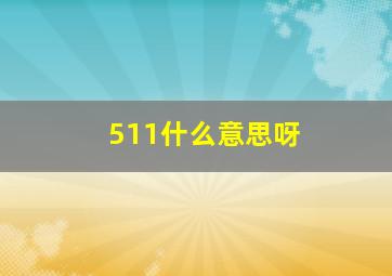 511什么意思呀