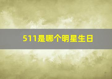 511是哪个明星生日