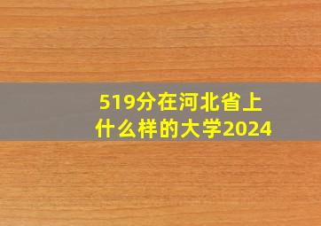 519分在河北省上什么样的大学2024