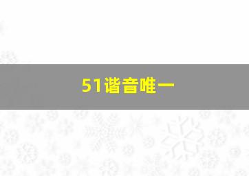 51谐音唯一