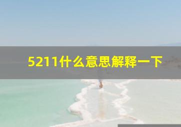 5211什么意思解释一下