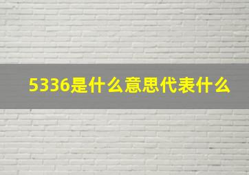 5336是什么意思代表什么