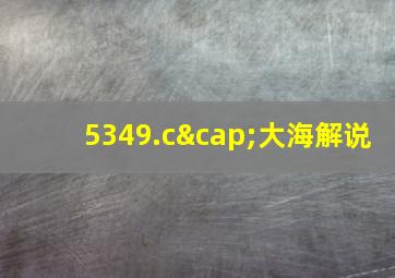 5349.c∩大海解说