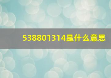 538801314是什么意思