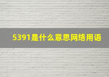 5391是什么意思网络用语