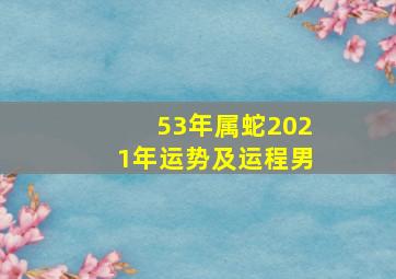 53年属蛇2021年运势及运程男