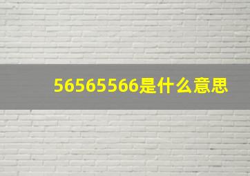 56565566是什么意思