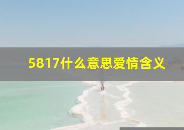 5817什么意思爱情含义