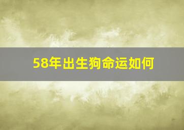 58年出生狗命运如何