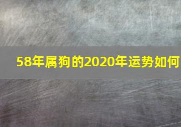 58年属狗的2020年运势如何