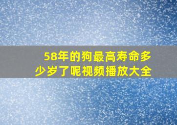 58年的狗最高寿命多少岁了呢视频播放大全