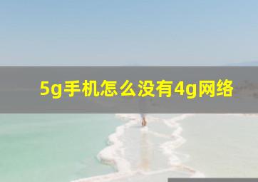 5g手机怎么没有4g网络