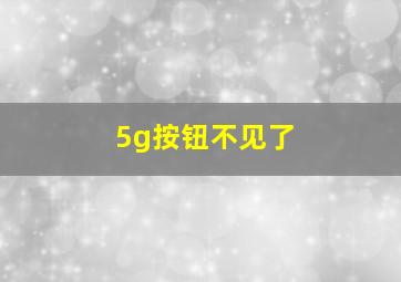 5g按钮不见了