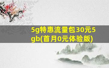 5g特惠流量包30元5gb(首月0元体验版)