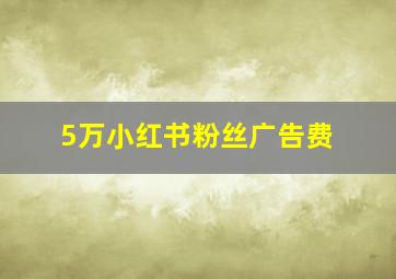 5万小红书粉丝广告费