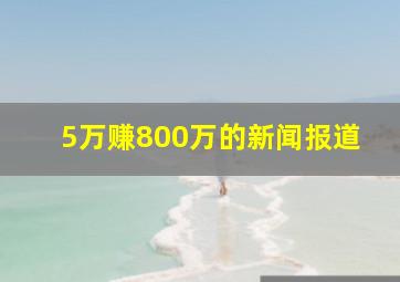 5万赚800万的新闻报道