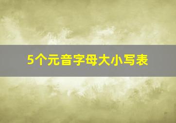 5个元音字母大小写表