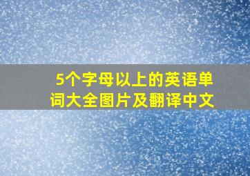 5个字母以上的英语单词大全图片及翻译中文