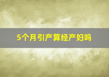 5个月引产算经产妇吗