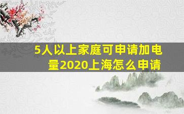 5人以上家庭可申请加电量2020上海怎么申请