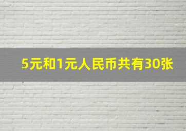 5元和1元人民币共有30张