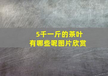 5千一斤的茶叶有哪些呢图片欣赏