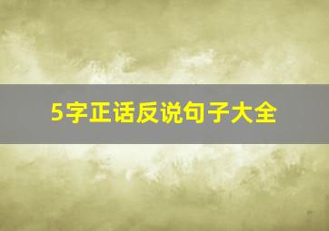 5字正话反说句子大全