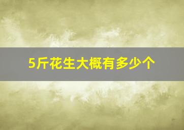 5斤花生大概有多少个