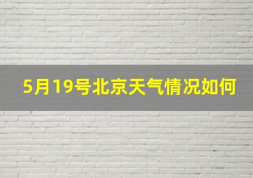 5月19号北京天气情况如何