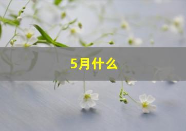 5月什么