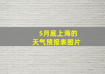 5月底上海的天气预报表图片