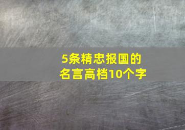 5条精忠报国的名言高档10个字