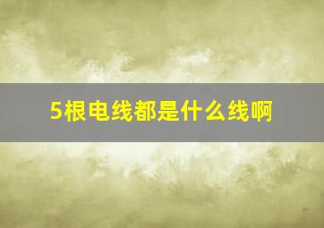 5根电线都是什么线啊