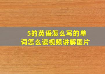 5的英语怎么写的单词怎么读视频讲解图片