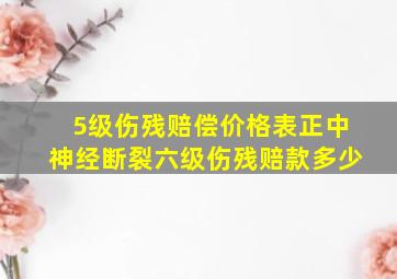 5级伤残赔偿价格表正中神经断裂六级伤残赔款多少