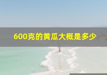 600克的黄瓜大概是多少