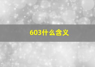 603什么含义