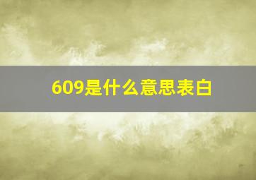 609是什么意思表白