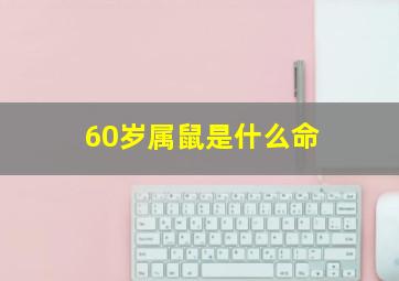 60岁属鼠是什么命