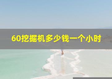 60挖掘机多少钱一个小时