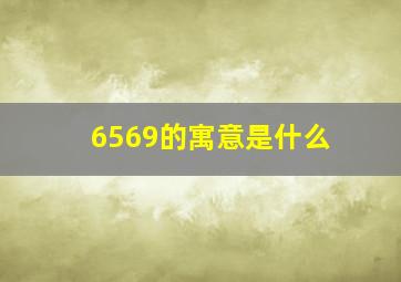 6569的寓意是什么