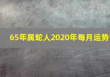 65年属蛇人2020年每月运势