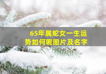 65年属蛇女一生运势如何呢图片及名字