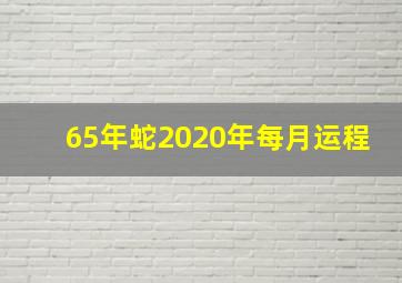 65年蛇2020年每月运程