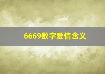 6669数字爱情含义