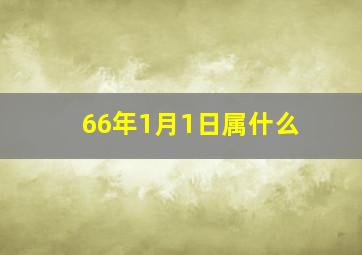 66年1月1日属什么