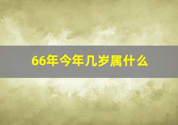 66年今年几岁属什么